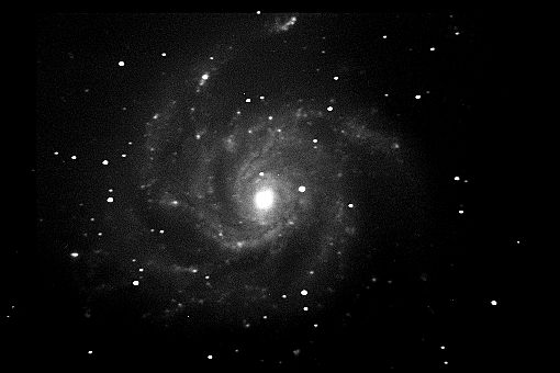 M101